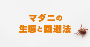 マダニの回避・対処法！登山者が知っておきたいマダニの生態